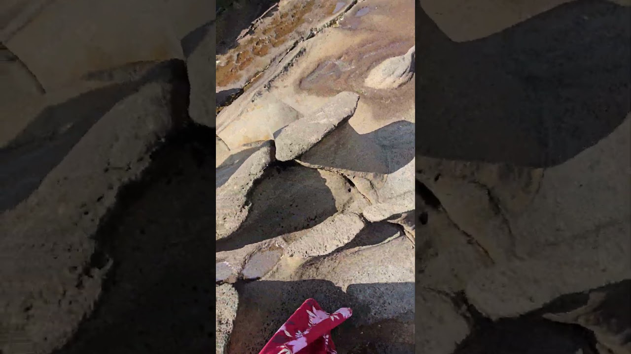 Daily Sound of Ambience - Behind the Scene 😁