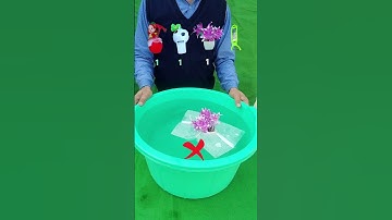 TRY TO GUESS HOW MANY TISSUE PAPER IT TOOKS! 19 #asmrvideo #satisfying #water #experiment