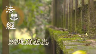 【靜思妙蓮華】法華經從地涌出品 - 唱導之師 問訊世尊 - 20230801 第1470集