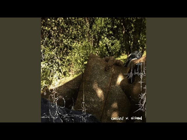 Рассветы (feat. el peel)