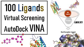 Molecular Docking  | Autodock VINA Virtual Screening  | VINA Docking tutorial | Bioinformatics