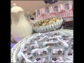 مجلس امهات 