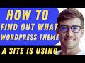 How To Find Out What Wordpress Theme A Site Is Using - Full Guide