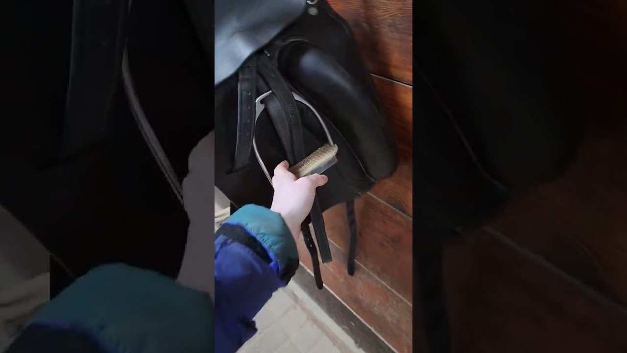 Не вся кожа для стремян одинакова #шорты
