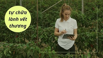 cách để xoa dịu nỗi buồn