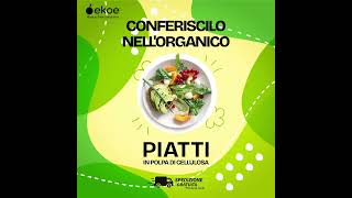 Piatti compostabili in polpa di cellulosa: dove li butto? Nell’umido