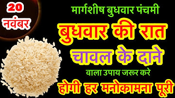20 नवंबर मार्गशीर्ष बुधवार पंचमी तिथि को चावल के दाने वाला उपाय जरूर करे || Pradeep Ji Mishra