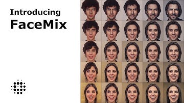 Introducing FaceMix
