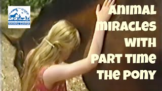 Animal Miracles  seen on Animal Planet  (Miracle Pets on PAX)