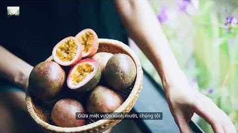 Miền Tây Thương Yêu.