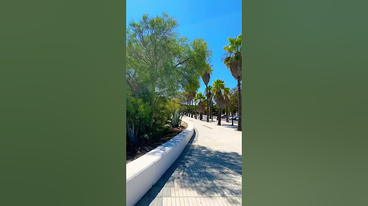 LA MEJOR PLAYA DE CADIZ, MI PLAYA