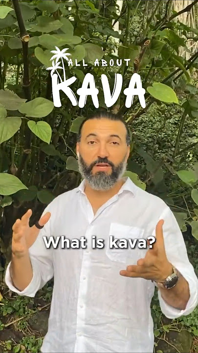 What is Kava? Discover the Traditional Hawaiian ‘Awa Plant