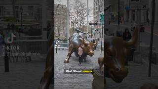 Manhattan Most Iconic Streets Revealed! #manhattan #street #nyc #facts #trendingvideo #fyi #space
