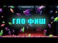 GloFish | Гло Фиш (Глофиш) : рыбки нашего магазина