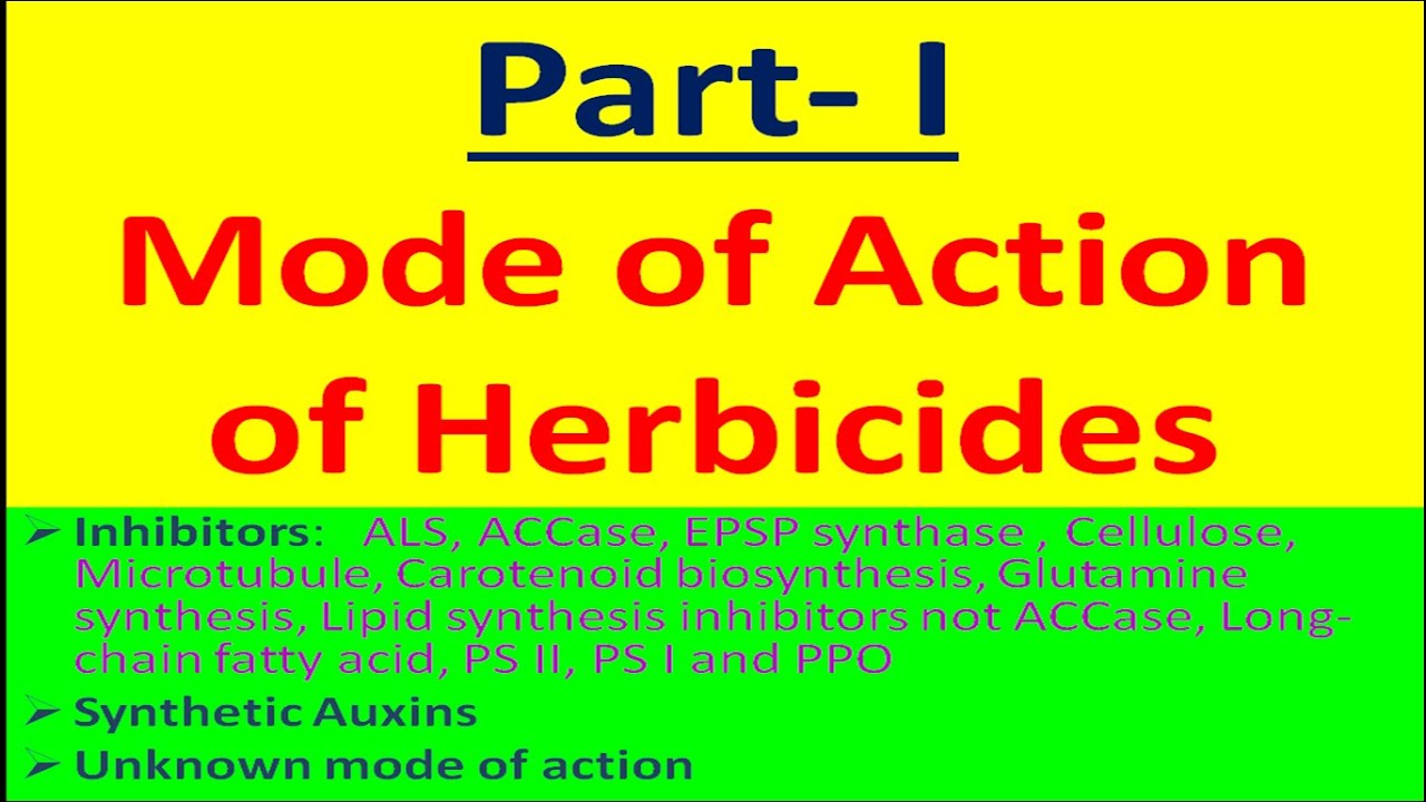 Part I Mode of Action of Herbicides YouTube
