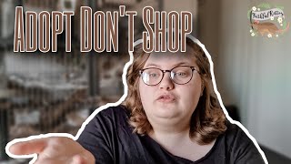 Is 'Adopt Don't Shop' the Solution to Rescue Overpopulation