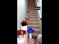 FRIDAY PAN PONG Trickshot Throwback