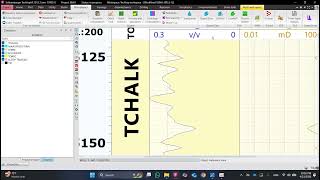 Celebrity Schlumberger Techlog Tutorial: Well 1 ( Step 12 ) Net Worth