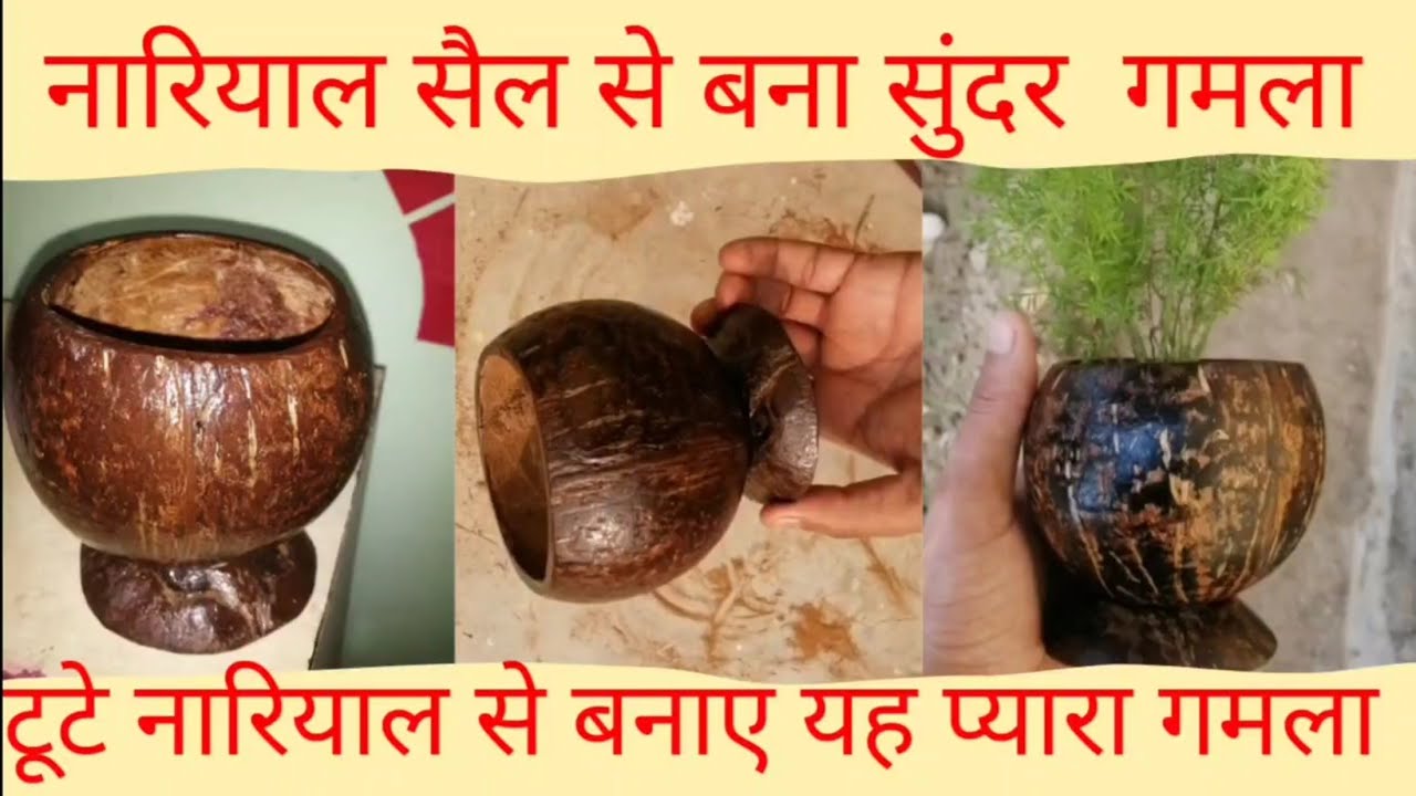 Today I make plant pot from coconut cell.