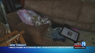 A woman is fed up after she said her storage unit flooded and then
became infested with mice, but the company says it not responsible for
any...