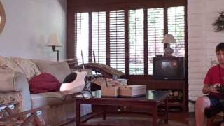 Crazy Exi 450 indoor hover
