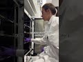 These words are now forbidden in our lab 🚫