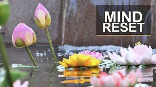 Meditation Music 🪷 150 Minutes Mind Reset for Stress Relief | NOX screenshot 3