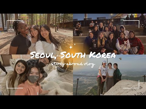 study abroad in south korea: nami island, samoyed cafe, bukhansan, cafe hopping & banpo river