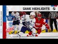 Maple Leafs @ Red Wings 1/29/22 l NHL Highlights