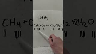 Module 4 Study Questions