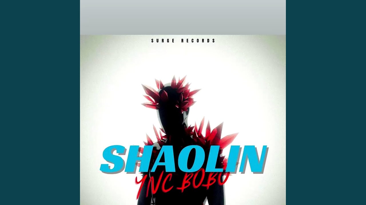 Shaolin adlı videoyu YouTube'da izle Shaolin adlı videoyu YouTube'da izle