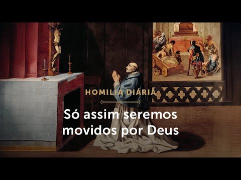 Homilia Diária | Quinta-feira da 27.ª Semana do Tempo Comum (09/10/2025)