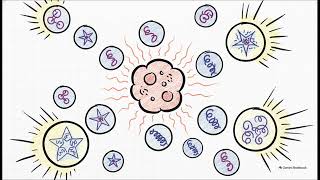 How does pre-conditioning the target tissue with mild local heat impact exo... | WHC Clinical FAQ