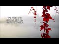 이안 정인 이안 정인