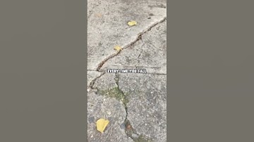 How to Turn Failure Into Success