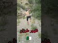 ظهور طرزان في الجزائر ظهور طرزان في الجزائر