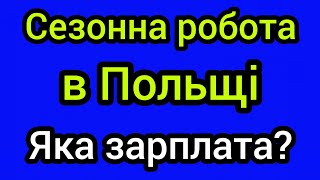 Сезонна робота в Польщі: яку зарплату пропонують роботодавці?