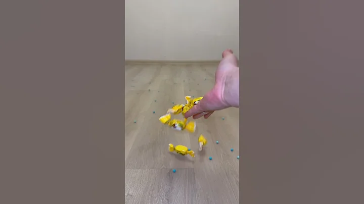 Video 11555571: sphynx cat funnycat, sphynx kitten cute cat, sphynx cat funny kitten, sphynx cat toys, sphynx cat dog