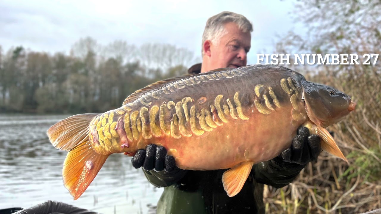 🚨🚨 MERE STOCKING NUMBER 1 🚨🚨