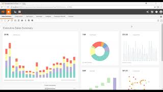 Famous InetSoft Extended Demo 2018 Profile