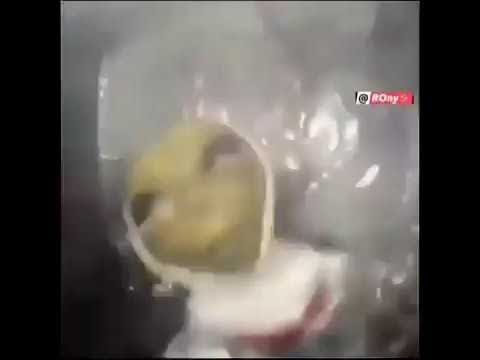 Alien Meme Song With Turkish Lyrics Patlamaya Devam Turkce Altyazi Youtube