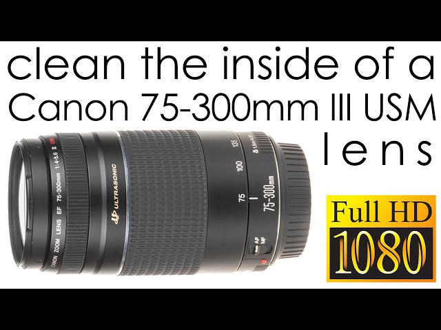Canon EF 75-300mm f/4-5.6 III USM - how to clean the lens inside