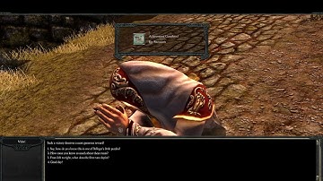 Divinity II (Part 80) Aleroth Revisited - Ego Racoonis Achievement