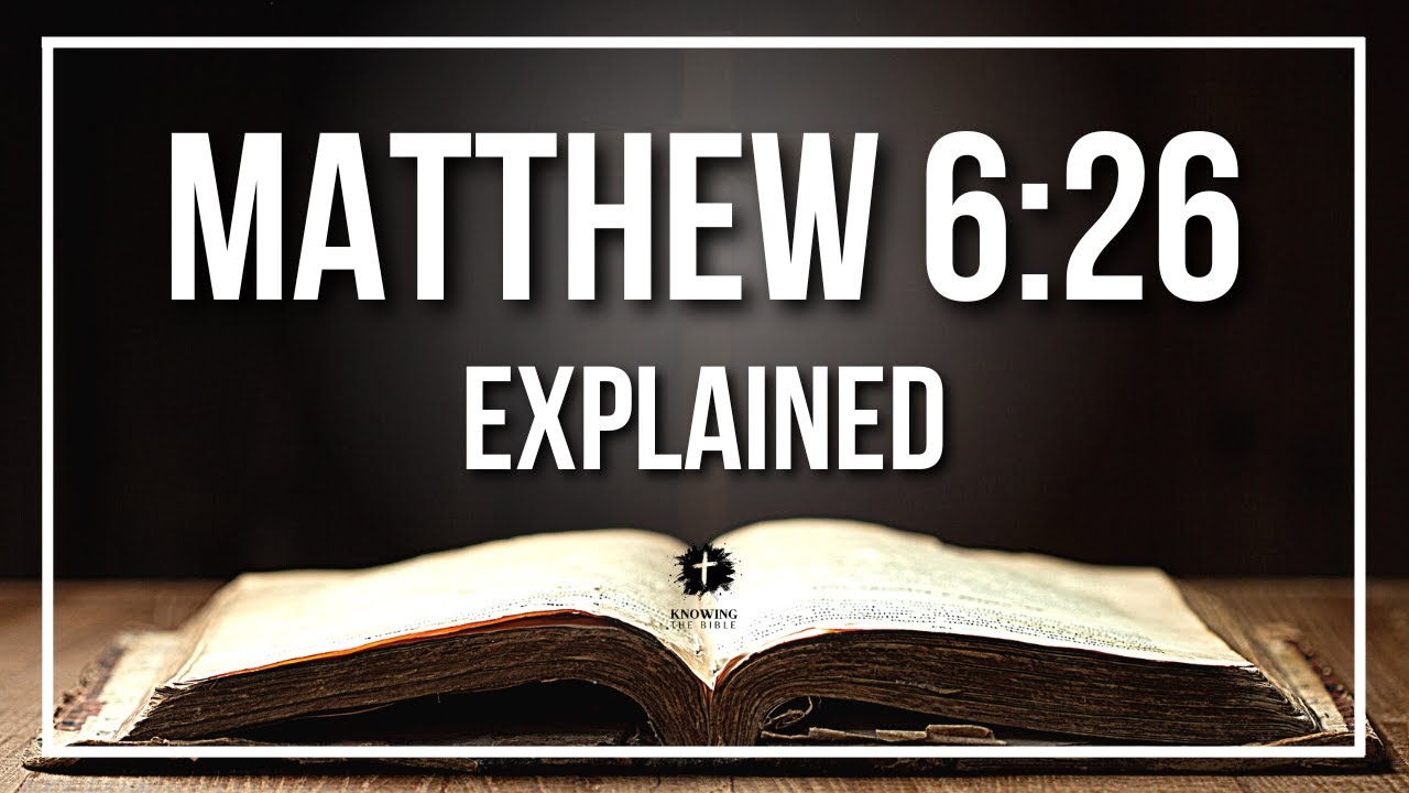 MATTHEW 6:26 Explained | MATTHEW 6:26 Meaning According to the Bible ...