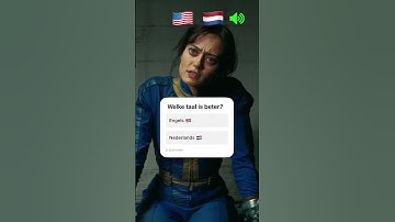 Welke taal is jouw favoriet? 🇳🇱🇺🇸 #fallout
