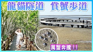 【新竹景點】新開幕的「台 61 線新豐休息站」，新豐紅樹林「龍貓隧道」，香山濕地「賞蟹步道」，午餐享用客家菜  Hsinchu Taiwan