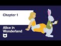 Quiz on Video Tutorial