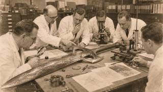 7 Pre-1850 Weapons in the Smithsonian Archive That Modern Metallurgists Cannot Forge