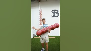 World Record 100 Pointer Trickshot 🏀