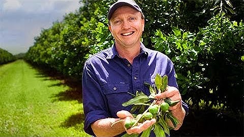 Shine with Australia: Tasty macadamias - find it with us